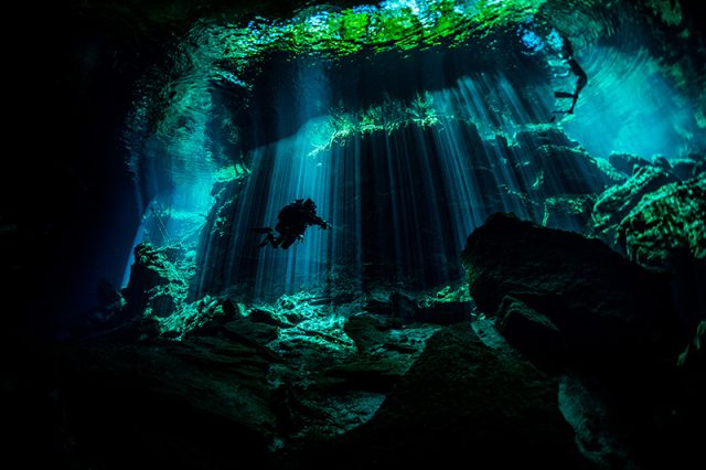 Cenotes and Sinkholes